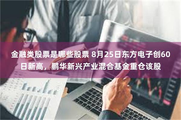 金融类股票是哪些股票 8月25日东方电子创60日新高，鹏华新兴产业混合基金重仓该股