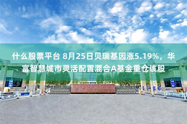 什么股票平台 8月25日贝瑞基因涨5.19%，华富智慧城市灵活配置混合A基金重仓该股
