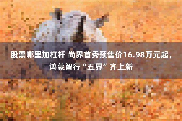 股票哪里加杠杆 尚界首秀预售价16.98万元起，鸿蒙智行“五界”齐上新