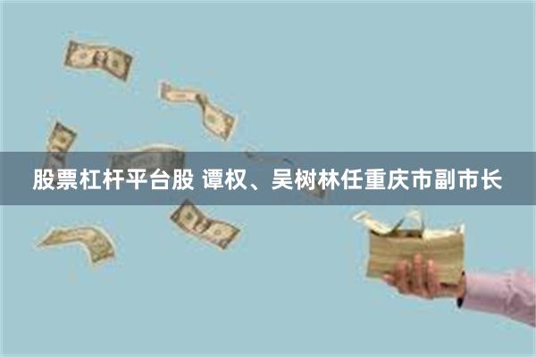 股票杠杆平台股 谭权、吴树林任重庆市副市长